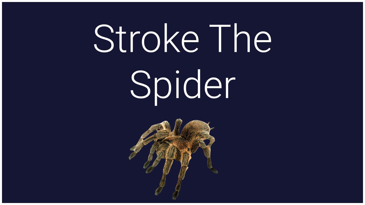 Stroke The Spider