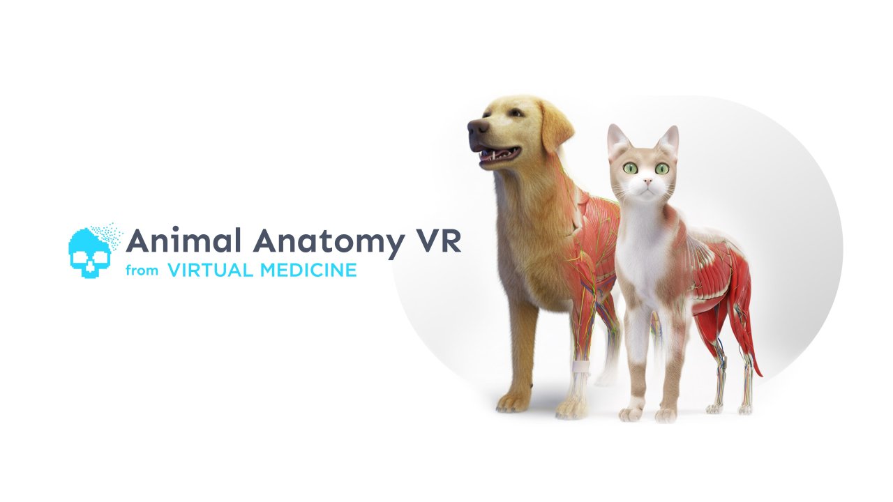 Animal Anatomy VR