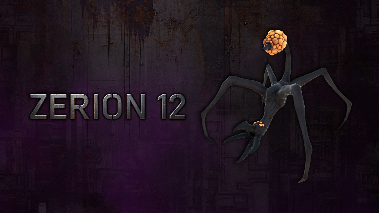 Zerion 12