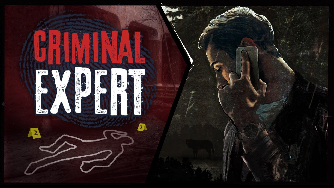 Criminal Expert